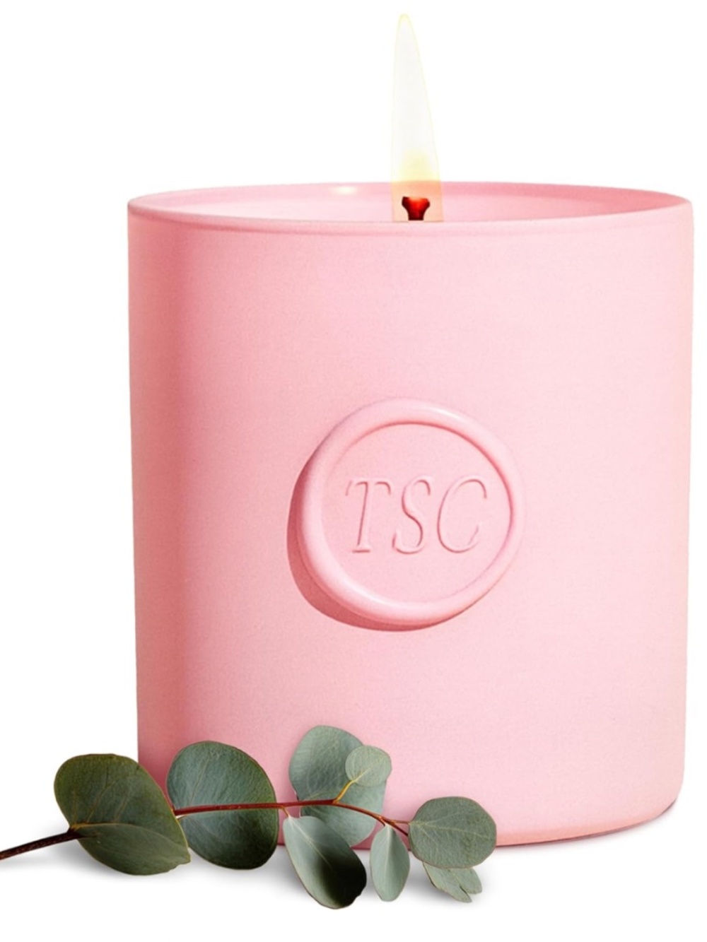NWT The Skinny Confidential Candle